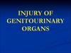 Injury of genitourinary organs