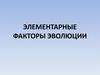 Элементарные факторы эволюции