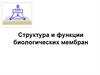 Структура и функции биологических мембран