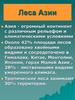 Леса Азии