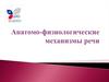 Анатомо-физиологические механизмы речи