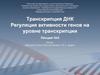 Транскрипция ДНК. Регуляция активности генов на уровне транскрипции