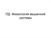 Физиология мышечной системы