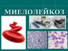 Миелолейкоз- жетілмеген гранулоцитті жасушалардың