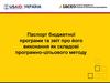 Паспорт бюджетної програми та звіт про його виконання, як складові програмно-цільового методу