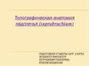 Топографическая анатомия надплечья (suprabrachium)