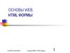 Основы WEB. HTML формы