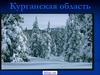 Курганская область