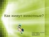 Как живут животные?