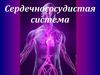 Сердечнососудистая система