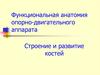 Функциональная анатомия опорно-двигательного аппарата
