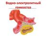 Водно-электролитный гомеостаз