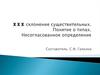 III склонение существительных. Понятие о типах. Несогласованное определение
