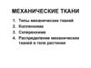 Механические ткани
