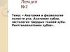 Анатомия и физиология полости рта. Анатомия зубов, гистология твердых тканей зуба. Рентгеноанатомия зубов. (Лекция 2)