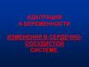 Адаптация к беременности. Изменения в сердечно-сосудистой системе