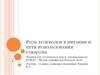 Роль углеводов в питании и пути использования глюкозы