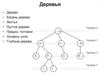Деревья. Двоичные (бинарные) деревья