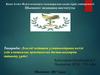 Дәлелді медицина ұстанымдарына негізд еліп клиникалық практикалық басшылықтарды дайындау үрдісі