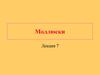 Моллюски. Характеристика и систематика типа Моллюски. Основные прогрессивные черты организации