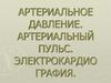 Артериальное давление. Артериальный пульс. Электрокардиография