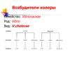 Возбудители холеры