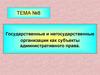 Государственные и негосударственные организации как субъекты административного права