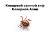 Клещевой сыпной тиф Северной Азии
