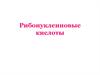Рибонуклеиновые кислоты
