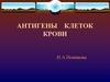 Антигены клеток крови