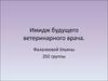 Имидж будущего ветеринарного врача