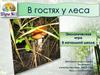 В гостях у леса. Экологическая игра
