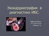 Эхокардиография в диагностике ИБС