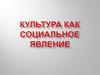Культура как социальное явление