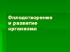 Оплодотворение и развитие организма