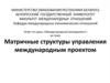 Матричные структуры управления международным проектом