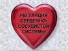 Регуляция сердечно-сосудистой системы