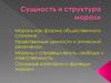 Сущность и структура морали