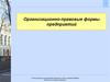 Организационно-правовые формы предприятий