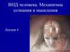 Механизмы сознания и мышления