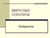 Вирусные гепатиты