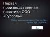 Производственная практика в ООО «Руссоль»