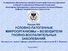 Условно-патогенные микроорганизмы – возбудители гнойно-воспалительных заболеваний