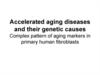 Accelerated aging diseases and their genetic causes Complex pattern of aging markers in primary human fibroblasts