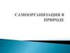 Самоорганизация в природе
