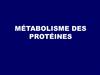Métabolisme des protéines