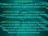 Протозоологія. Загальна характеристика найпростіших