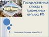 Государственная служба в таможенных органах РФ