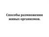 Способы размножения живых оргниазмов