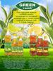 Холодный чай GREEN ranch